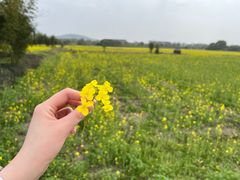 -良渚古城遗址公园