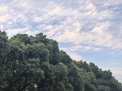 -艾溪湖湿地公园