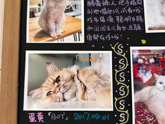 -小时光咖啡馆(开森度假森林店)