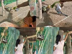 -萌宠奇缘(荣鼎店)