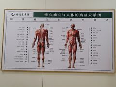 -通透堂中医·精准推拿(万科云城分院)