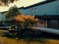 -秋霞圃