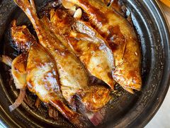 砂锅焗黄花鱼（大）-食家鸽园