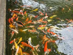 -番禺宾馆丽苑厅