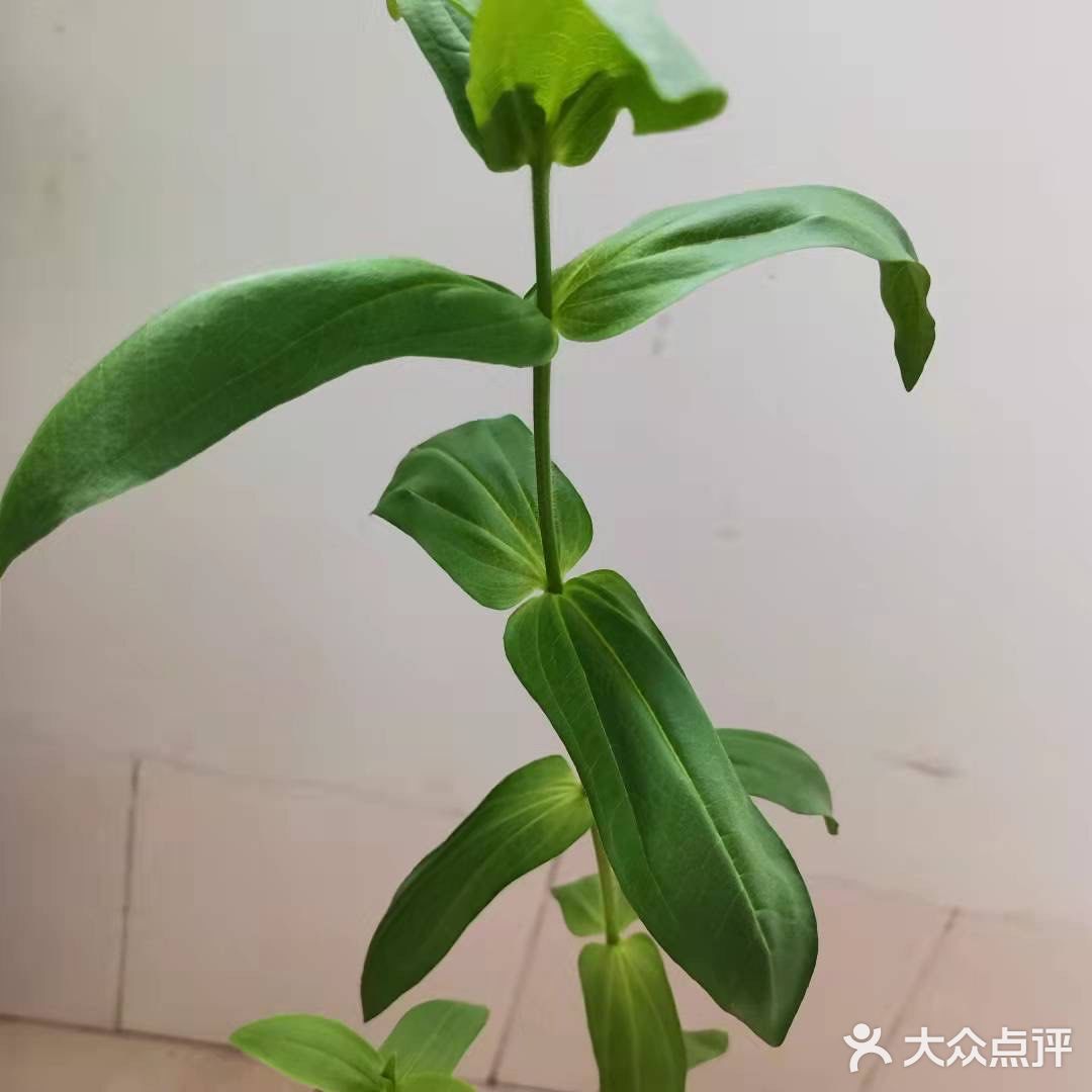 天宁寺好风光