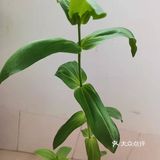 天宁寺好风光
