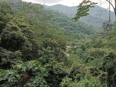-阳台山森林公园