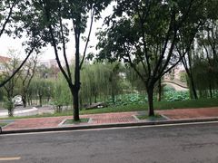 -国色天乡三期陆地乐园