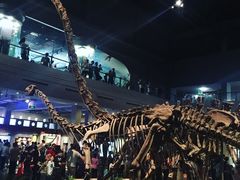 -自贡恐龙博物馆