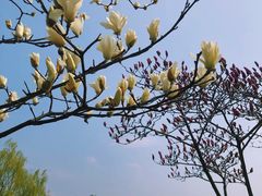 -钟山体育运动公园
