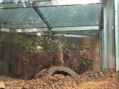 -青岛森林野生动物世界