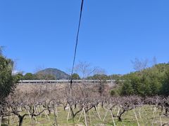 -溪口-滕头旅游景区