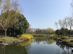 -上海滨江森林公园
