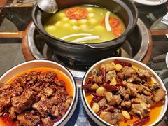 -志晖园圆子鸡·辣子鸡(阳光店)