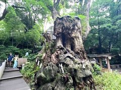 -来宫神社