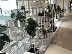 -叶子与茶(苏宁广场店)