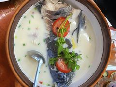 -全乐鱼馆·淳牌有机鱼直营店