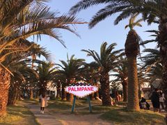 -Cafe Aewol Monsant
