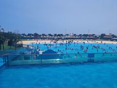 -秦皇岛乐岛海洋王国