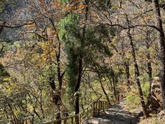 -北京上方山国家森林公园