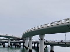 -演武大桥观景平台