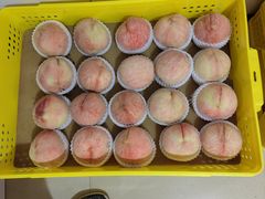 -老袁家蜜桃农场·阳山水蜜桃