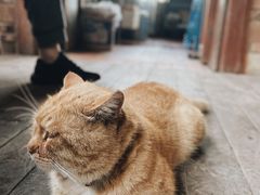 -远山有窑