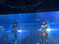 -成都浩海立方海洋公园