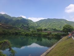 -龙坞茶村