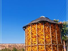 -云岫谷游猎自然风景区