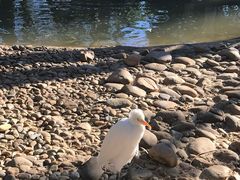 -费瑟代尔野生动物园