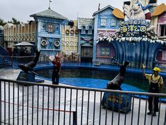 -华夏文旅海洋公园