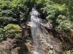 -少华山国家森林公园