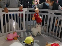 -仲盛世界商城