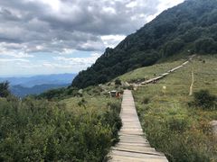 -白草畔自然风景区