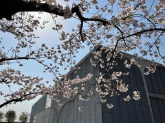 -龙美术馆(西岸馆)
