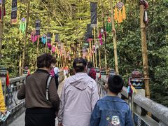 -西双版纳原始森林公园