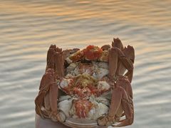 -品鲜村农家菜·阳澄湖大闸蟹(总店)