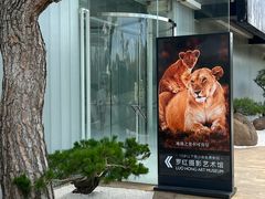 -罗红摄影艺术馆