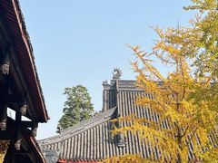 -古大圣慈寺