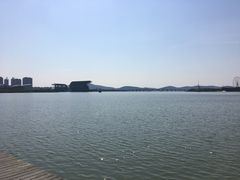 -高子水居