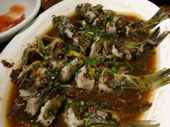 汪刺鱼-春暖花开(西溪店)