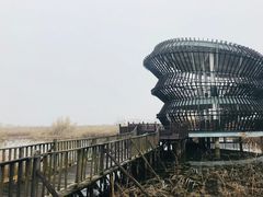 -泗洪洪泽湖湿地景区