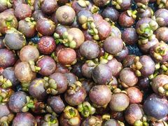 -水果天空(东葛店)