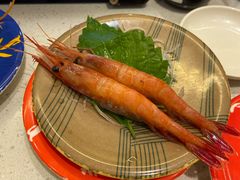 -京樽回転寿司(奥林匹克店)