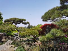 -西湖外事游船(花港观鱼码头)