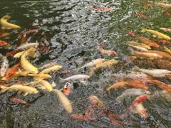 -南通洲际绿博园