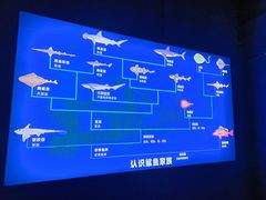 -重庆欢乐海底世界