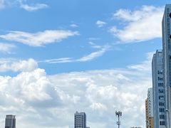 -盛记顺德高佬猪杂粥