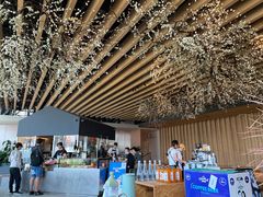 -Seesaw Coffee(朝阳大悦城店)